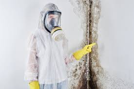 Best Mold Prevention Services in USA